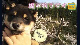 【編み物ラジオ