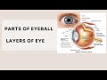 Layers of eyeball || Structure of eyeball