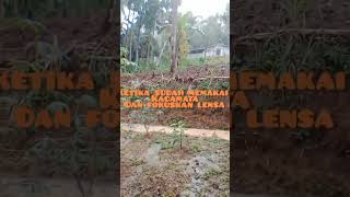 Perbedaan pakai kacamata dan tidak ketika mata minus 5 melihat sekitar rumah #shorts #mataminus