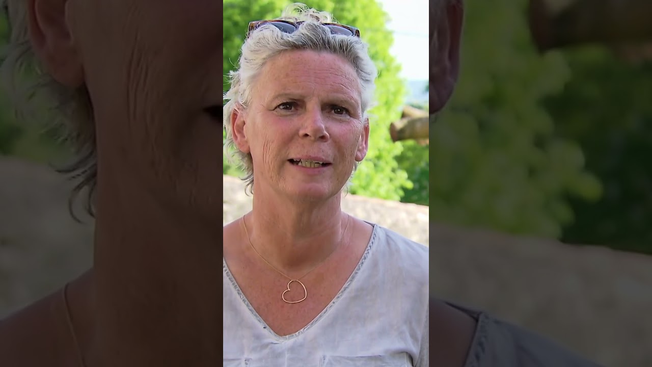 Petri compilatie pt. 2