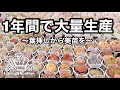 【多肉植物】1年間で大量生産〜葉挿しから美苗を〜