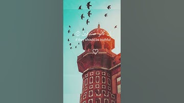تلاوة هادئة تريح القلب 🌸 #القران_الكريم #elmulquranعلم #تلاوة_خاشعة #المصحف #راحة_نفسية