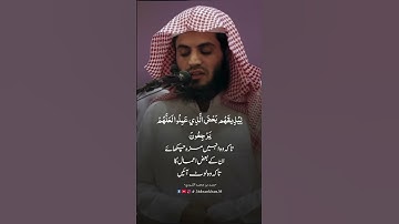سورة الروم ٢١ رعد الكردي