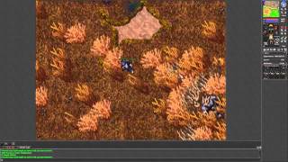 Tibia Tutorial Wailing Widow Mount ( Sweet Smelling Bait / Music Box ) - HD