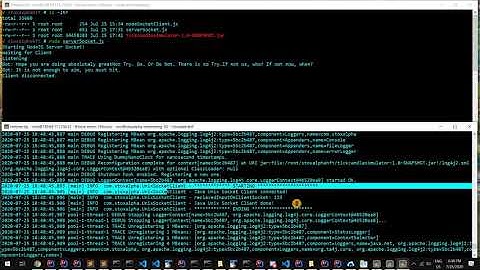 Unix Domain Socket