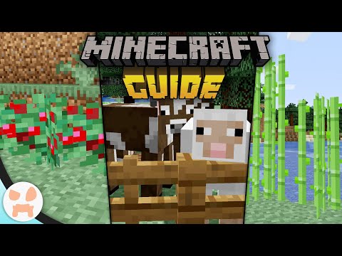 STARTING STARTER FARMS! | The Minecraft Guide - Minecraft 1.17 Lets Play (123)