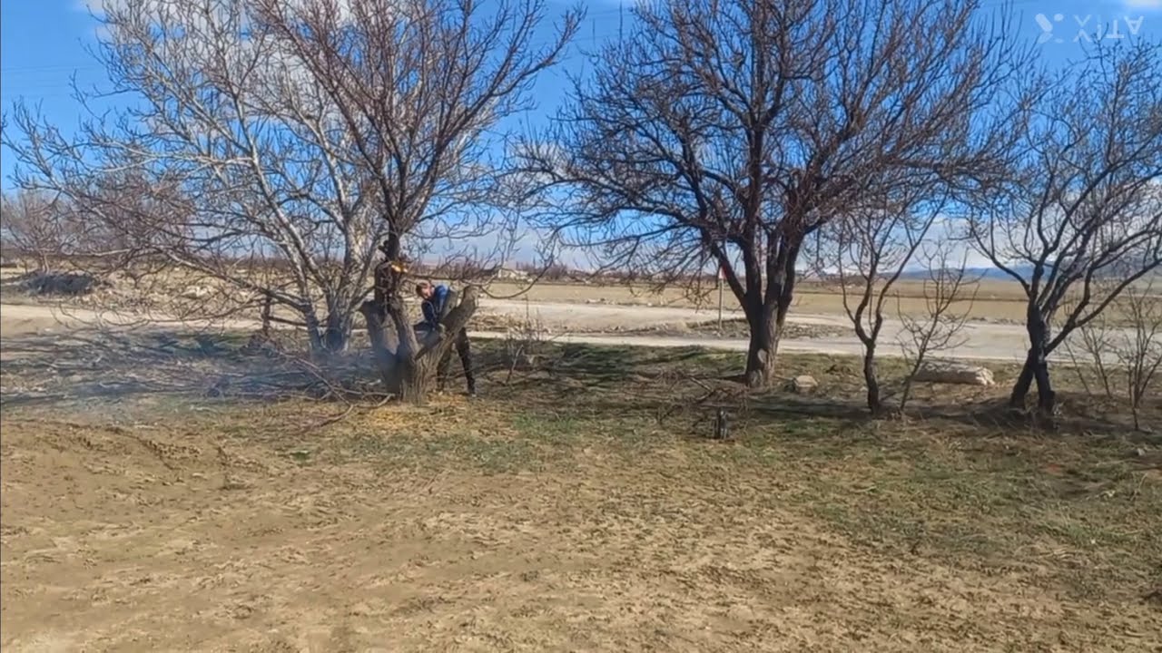 ÇEVRE DÜZENLEME BAŞLADI,HAYVANLARIN HALLERİ