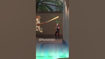 BONK in VALORANT ! #shorts