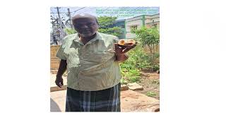 Biodegradable Seed Pots from Palm Fruits | Gardening InnovationHow to Grow Seeds in Palm Fruit