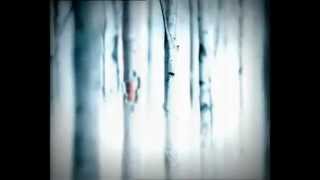 Smirnoff Red Label - Go High