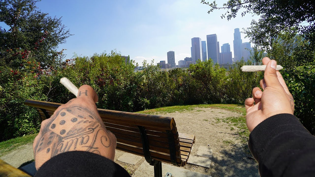 Good Vibes At The Park