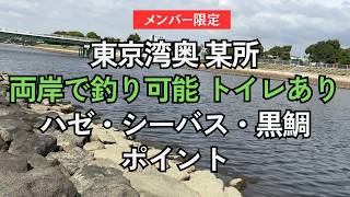 【メンバー限定】東京湾奥某所。電車徒歩圏内、トイレもあるハゼ・シーバス・黒鯛ポイント