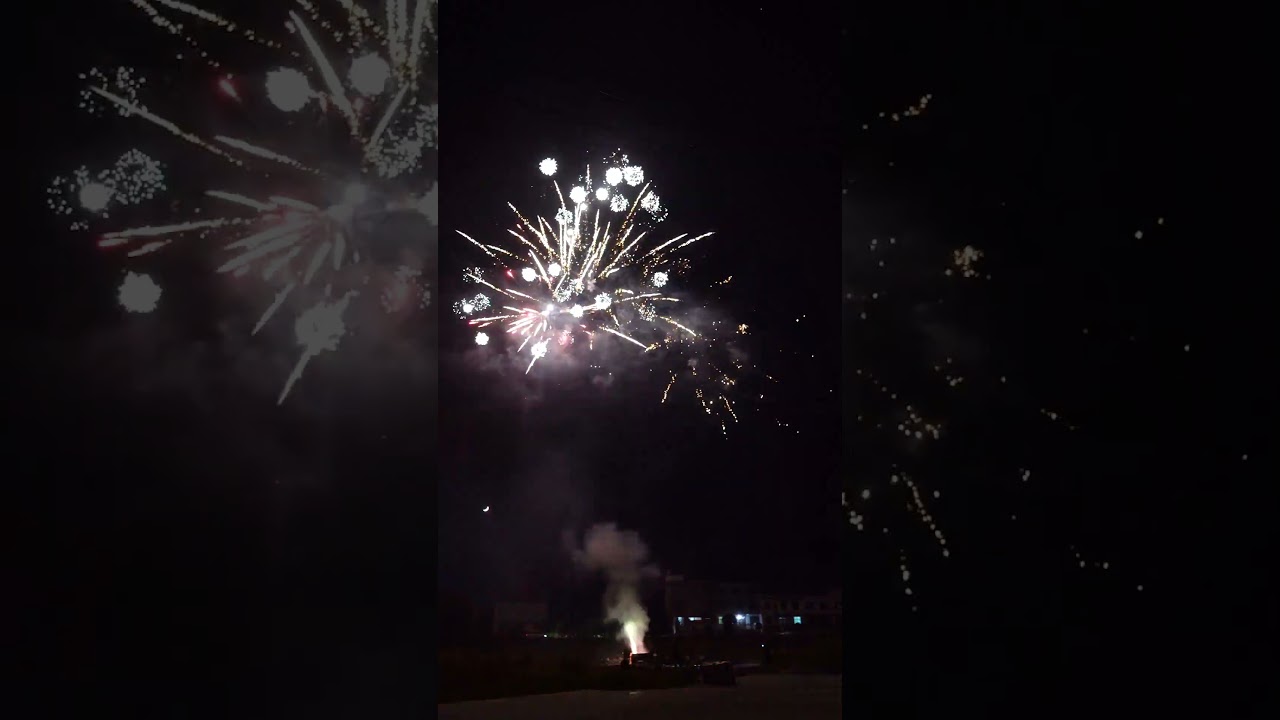 0.8寸119发金扇银扇 