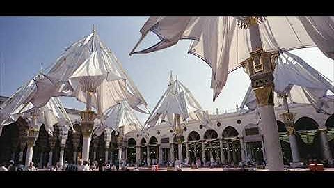 045 سورة الجاثية