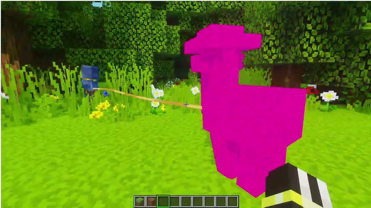 Rare Minecraft lamma short