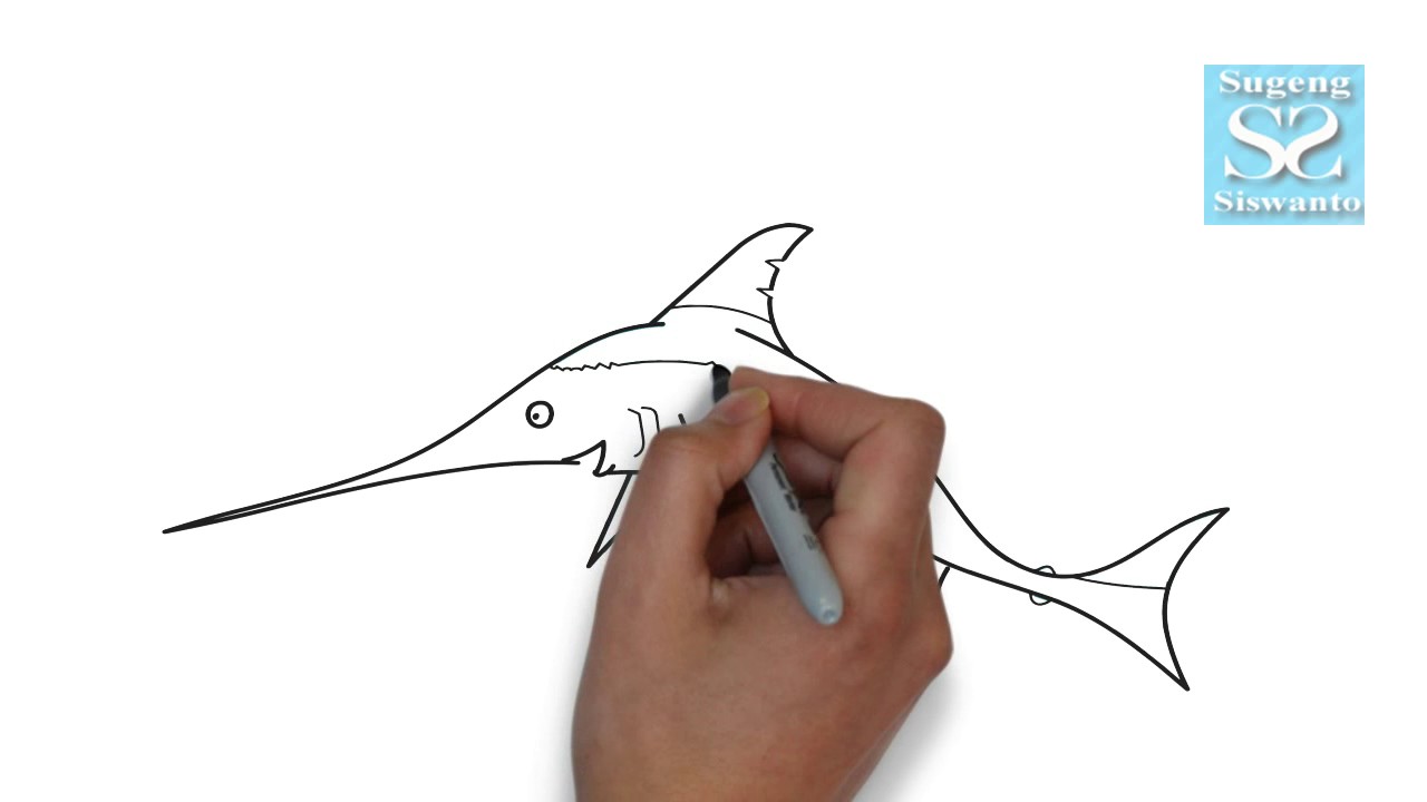  Menggambar  Binatang  IKAN  CUCUT Draw Animals 