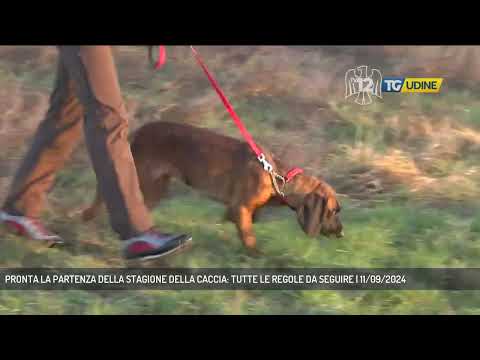 PRONTA LA PARTENZA DELLA STAGIONE DELLA CACCIA: TUTTE LE REGOLE DA SEGUIRE | 11/09/2024