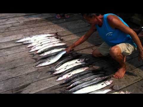 FishingSpore - YouTube