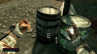 Upcoming Mod for Skyrim SE - Working title "Container Magic"