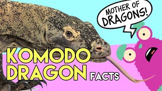 Facts About Komodo Dragons That Will Change The Way You See Them