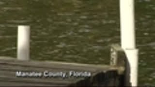 Boy Scouts make daring boat rescue; father, son saved