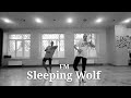 Introduction  sleeping wolf  dance school freedom of motion