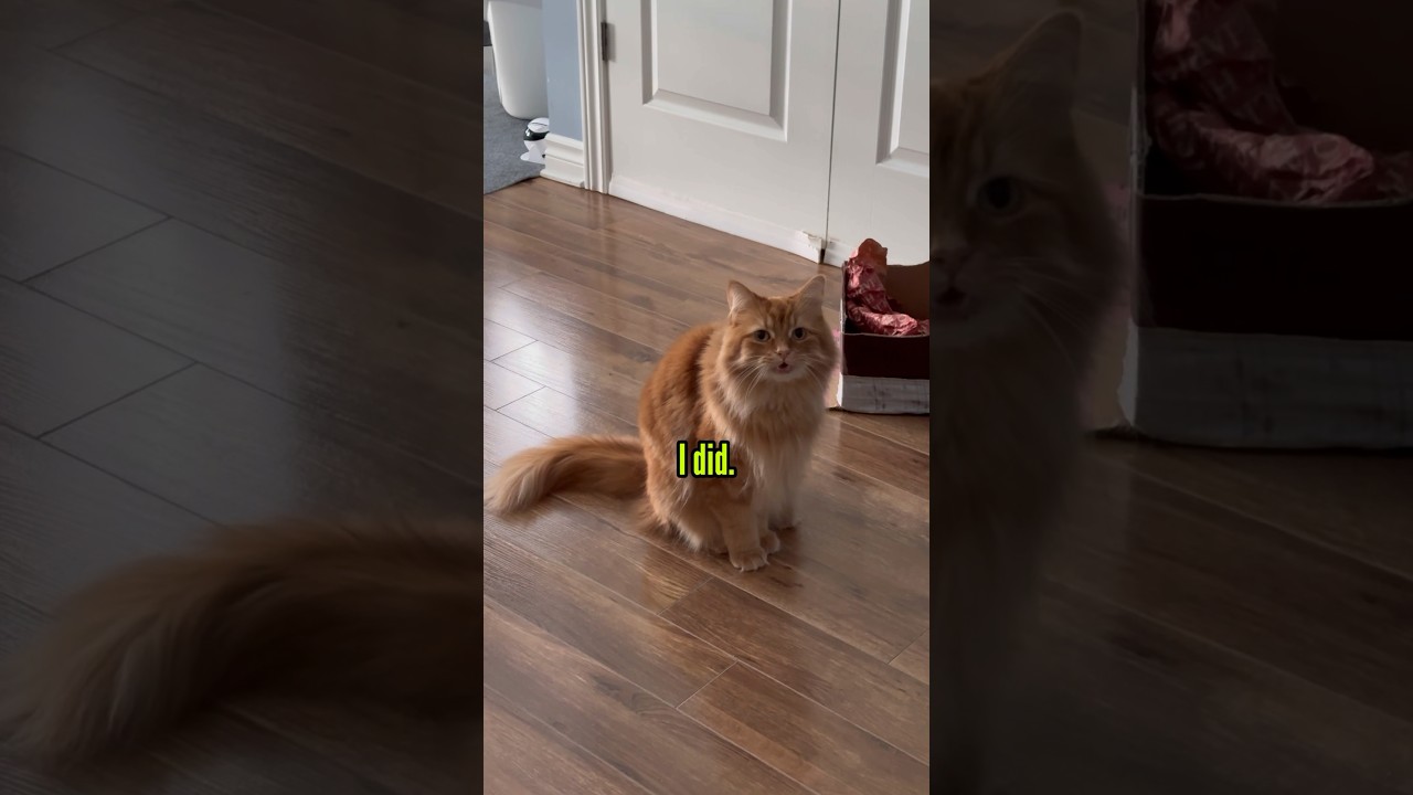 Honesty is the best policy. 💩 