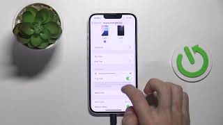 How to Manage Screen Auto-Lock on iPhone 16e - Adjust Auto-Lock Settings screenshot 3