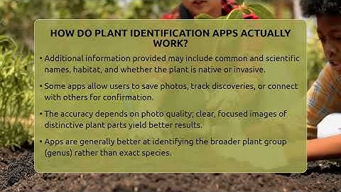 How Do Plant Identification Apps Actually Work? - The Plant Enthusiast