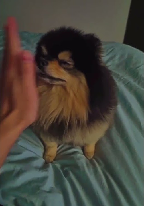 Taehyung instagram update💜 #BTS #btsv #yeontan #taehyung #BTSshorts