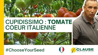 Découvrez la tomate cœur CUPIDISSIMO - #ChooseYourSeed | HM.CLAUSE