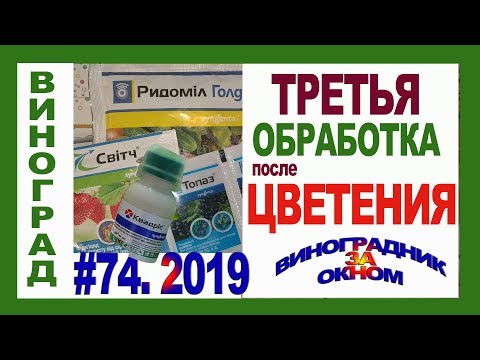 Видео: Ягодни вредители. Част 3