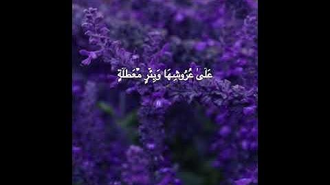 صلاح بوخاطر /حالات وتس اب آيات قرآنيه قصيره