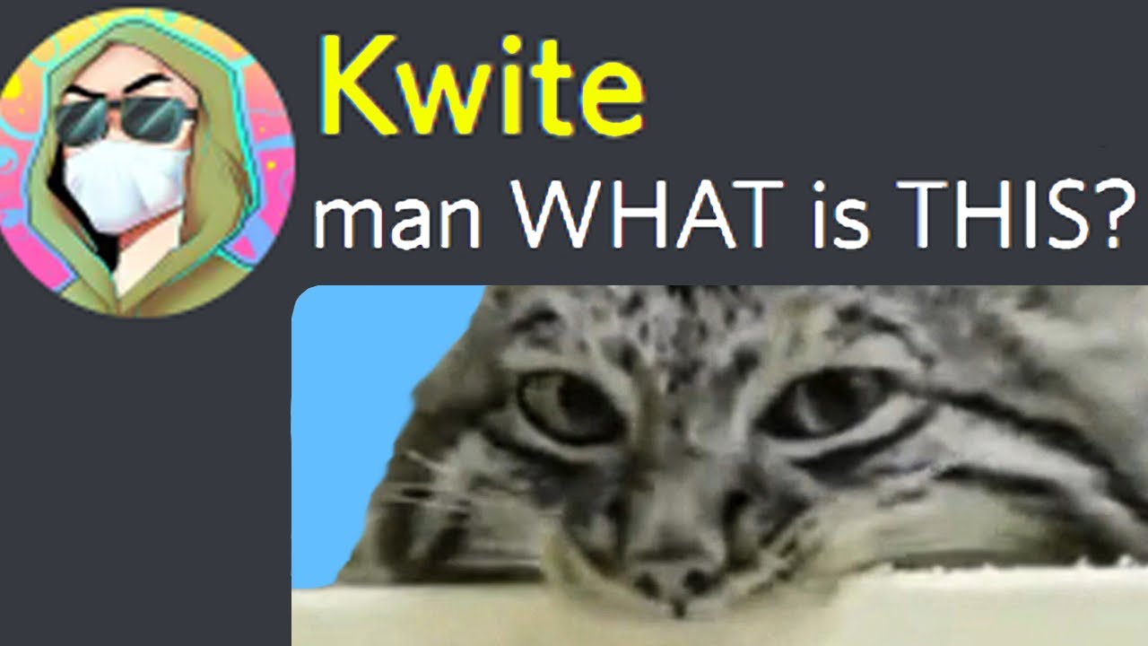 РЕЙТИНГ УЖАСНЫХ МЕМОВ МОЕГО DISCORD