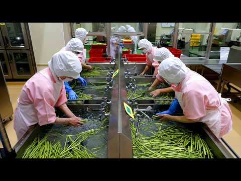 7000 school lunches a DAY! The CLEANEST food center in Japan!