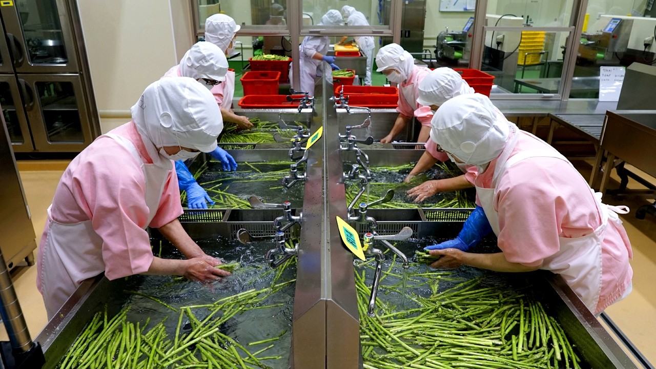 7000 ШКОЛЬНЫХ ОБЕДОВ в ДЕНЬ! Самый ЧИСТЫЙ пищевой комбинат в Японии!