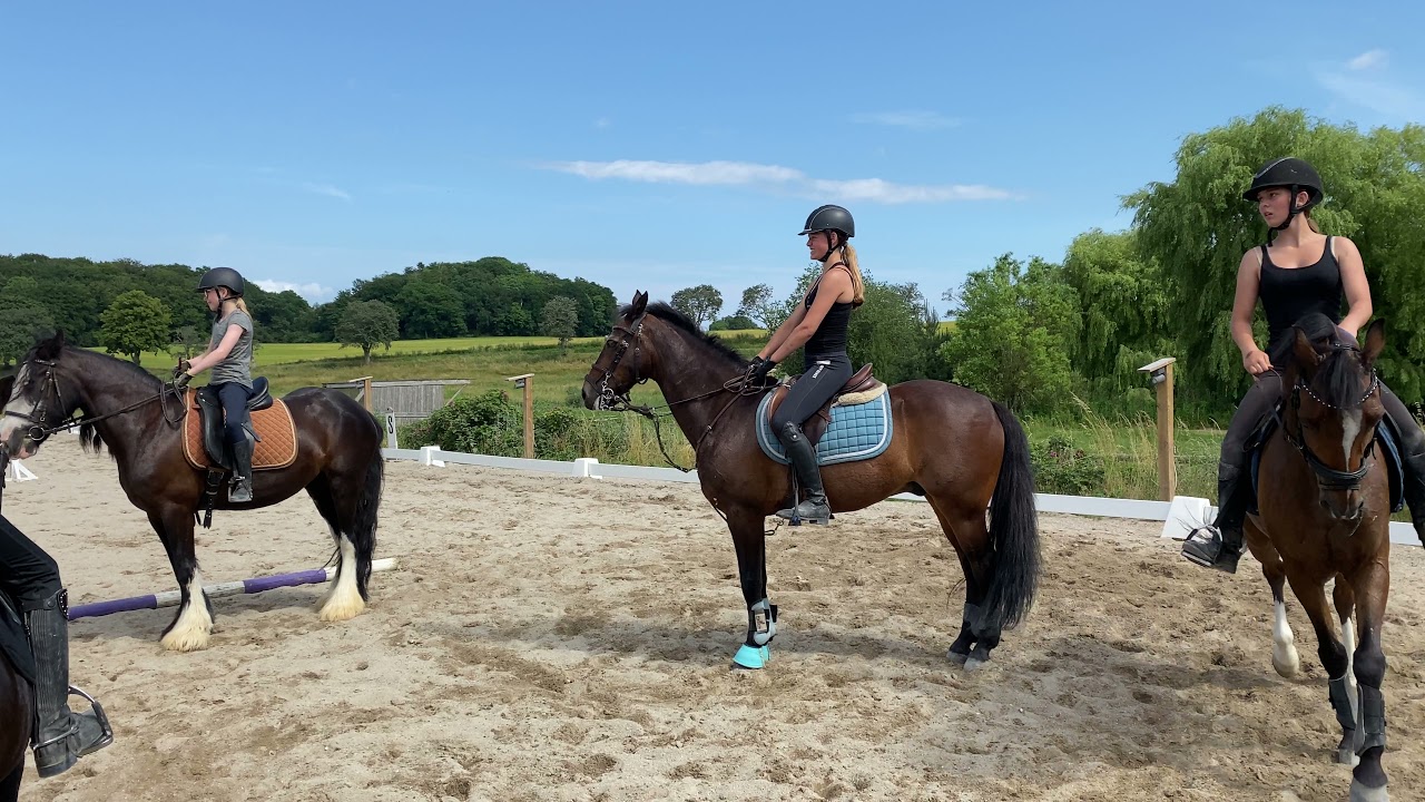 Ridelejr med Ponygames på Egholm Ridecenter 2021