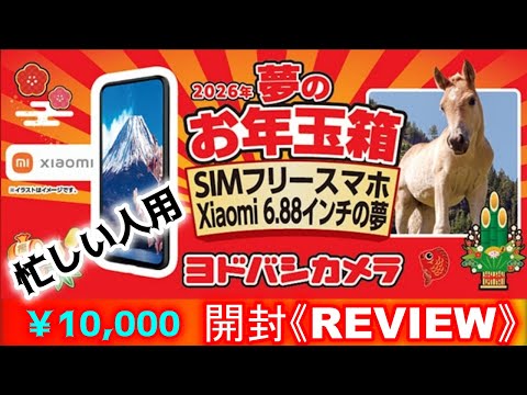 忙しい人用 開封REVIEW 2026 ヨドバシカメラ 夢のお年玉箱 SIM