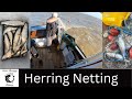 Drift net fishing for herring  north sea uk  inshore netting  catching herring on our coastline