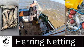 Drift Net Fishing For Herring, North Sea Uk