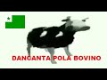 Kie estas Blanka Angilo? (DANCING POLISH COW IN ESPERANTO)