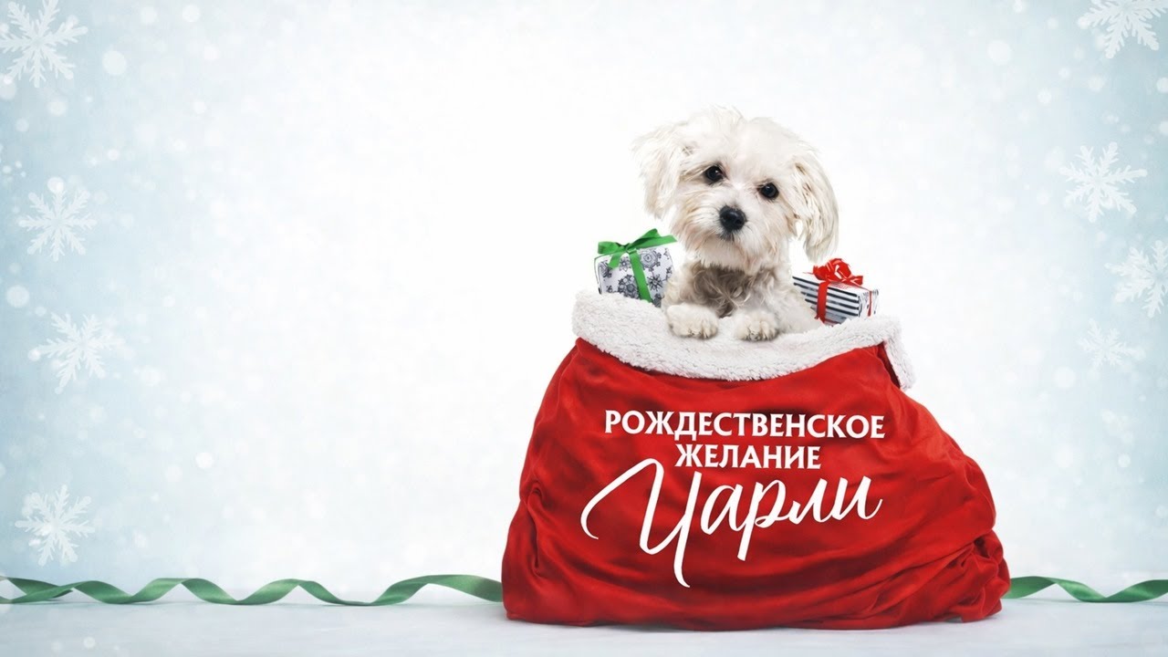 СОБАЧКА СТАНОВИТСЯ ТАЛИСМАНОМ! ТРОГАТЕЛЬНЫЙ ФИЛЬМ О НОВОГОДНИХ ЧУДЕСАХ! Рождественское желание Чарли