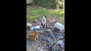 Spot and Tango Unboxing and Review