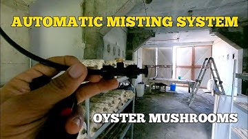 🍄 Automatic Misting System for Oyster Mushroom Production