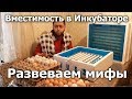 Закладка яиц в инкубатор Птичий Двор