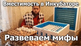 Закладка яиц в инкубатор Птичий Двор