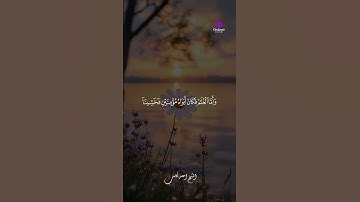 💫 أداء قرآني يلامس الأعماق بصوت القارئ أحمد كاسب