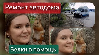 Продолжаем подготовку автодома к новому  сезону.