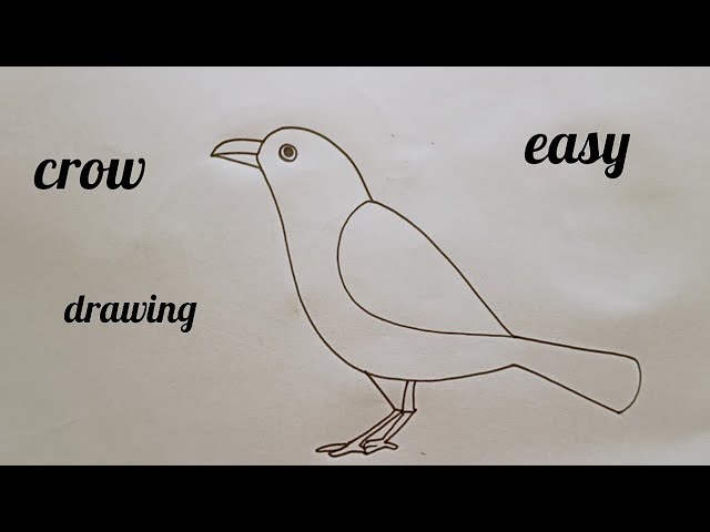 how to draw crow drawing easy step by step@DrawingTalent - YouTube