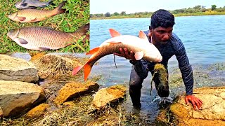 Rohu Fishing Techniques || Big Rohu Fish Catching Video || Hook Fishing By Rohu